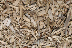 biomass boilers Gartocharn